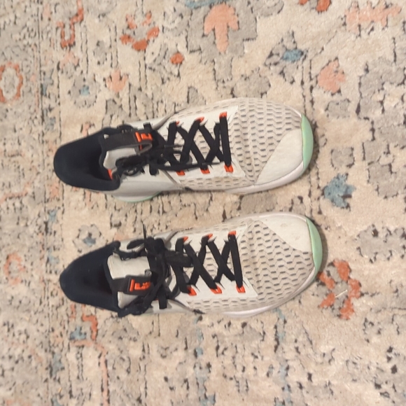 LeBron shoes - Picture 1 of 4